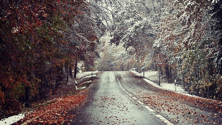 серая бетонная дорога, черная асфальтовая дорога среди зеленых деревьев, зима, пейзаж, дорога, снег, листья, HD обои