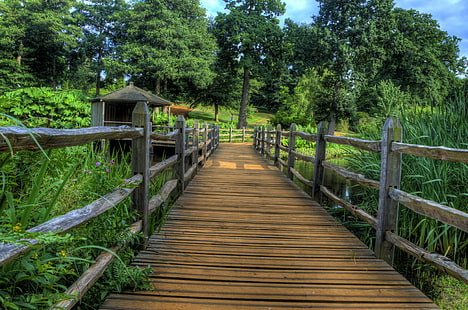 коричневый деревянный мост фото, деревянный мост, фото, Savill Gardens, природа, дерево - Материал, тропинка, лес, мост - Рукотворное сооружение, дощатый настил, дерево, пешеходный мост, на открытом воздухе, пейзаж, HD обои HD wallpaper