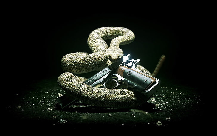 коричневая змея и черно-коричневый пистолет, Hitman: Absolution, Hitman, пистолет, Silverballer, змея, видеоигры, HD обои