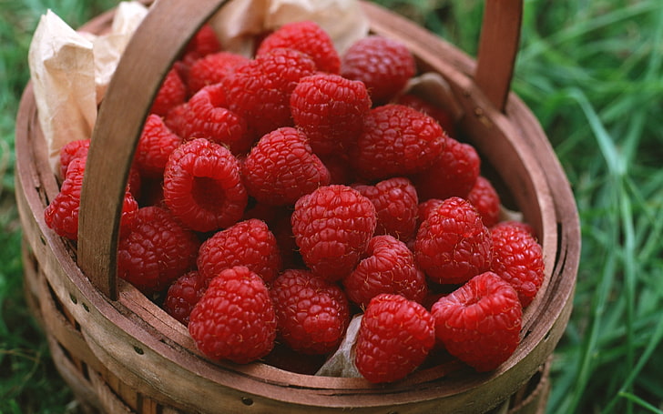 raspberries, raspberry, berry, ripe, HD wallpaper