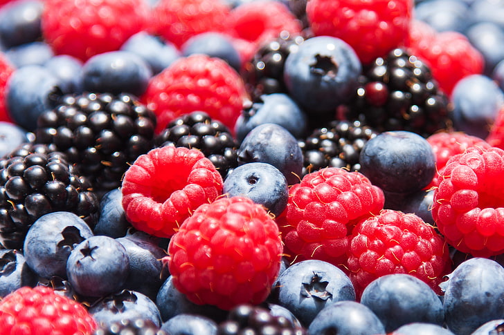 blueberry dan rasberi merah, berry, raspberry, blueberry, stroberi, BlackBerry, stroberi, blackberry, rasberi, Wallpaper HD