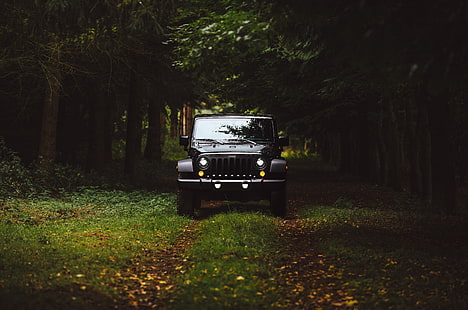 Jeep Wrangler negro, coche, todoterreno, vista frontal, hierba, Fondo de pantalla HD HD wallpaper