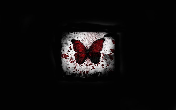 farfalla rossa, luce, farfalla, sangue, sfondo nero, spot, Sfondo HD