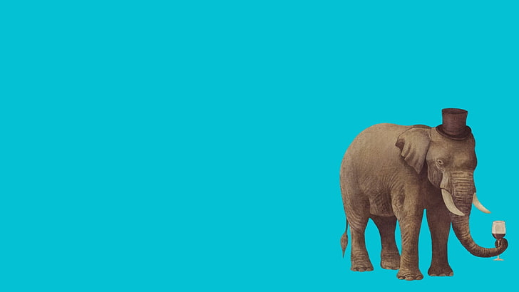 слон, минимализъм, животни, HD тапет