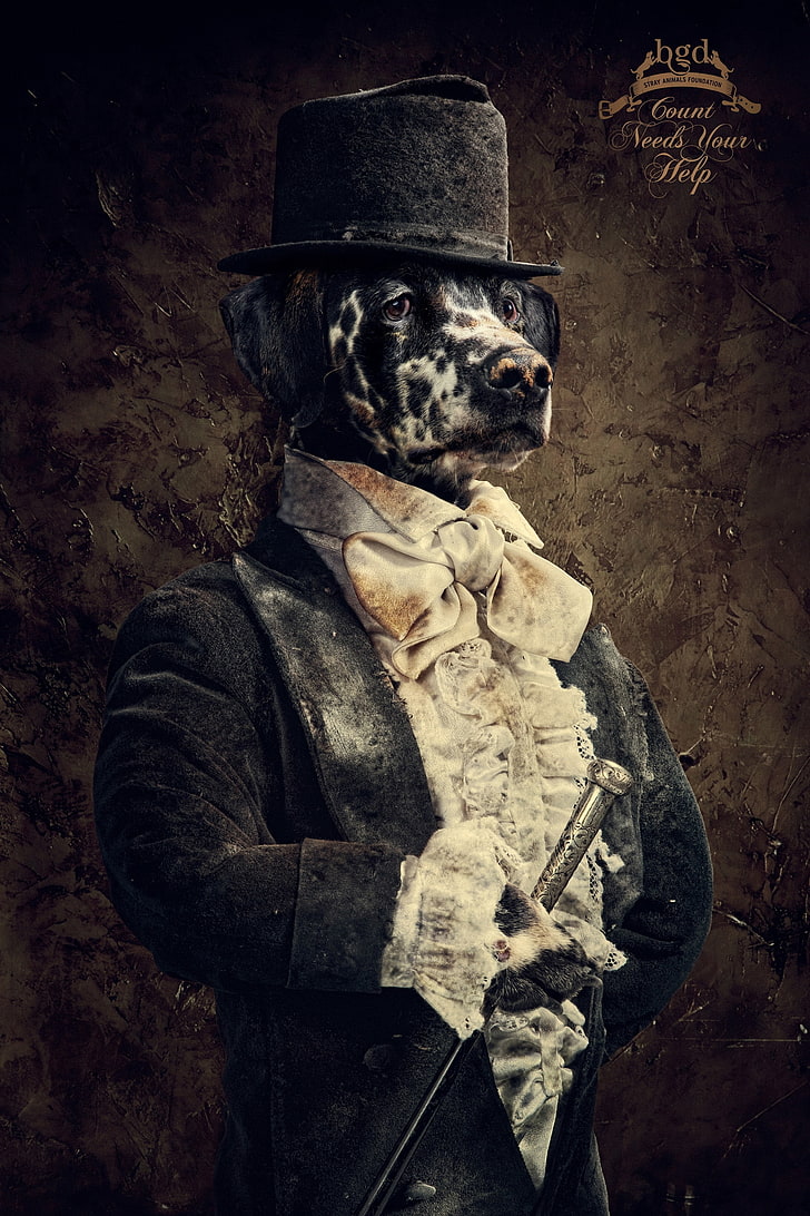 costume suit dogs tophat gentleman canine 1575x2362  Animals Dogs HD Art , costume, suit, HD wallpaper