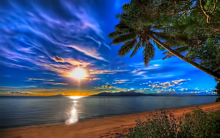 The Silent Moment, reflection, beach, cool, coconut trees, blue, light, HD  wallpaper | Wallpaperbetter