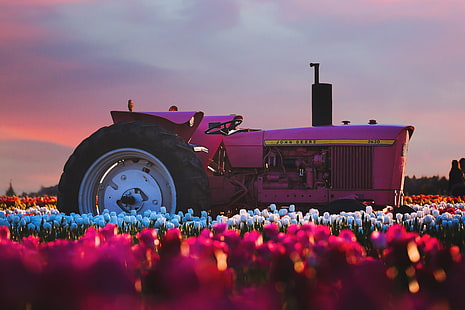 трактор, поле, ферма, HD, 4K, Джон Дир, фотография, природа, закат, пейзаж, HD обои HD wallpaper