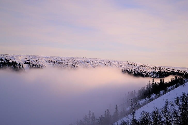 4608x3072 px nuvole freddo paesaggio nebbia montagne animali orsi arte HD, nuvole, paesaggio, freddo, montagne, nebbia, 4608x3072 px, Sfondo HD