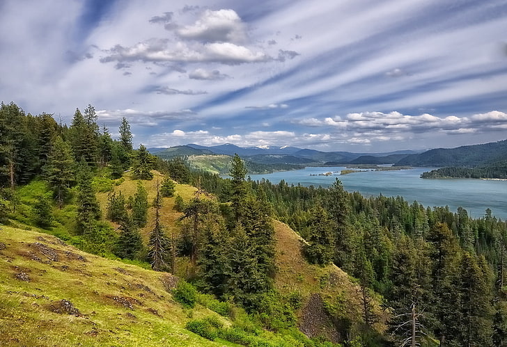 forest, trees, mountains, Lake Coeur d'alene, HD wallpaper