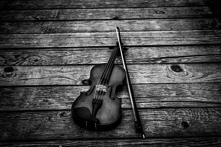 グレースケール写真バイオリン、バイオリン、bw、バイオリンの弓、楽器、 HDデスクトップの壁紙