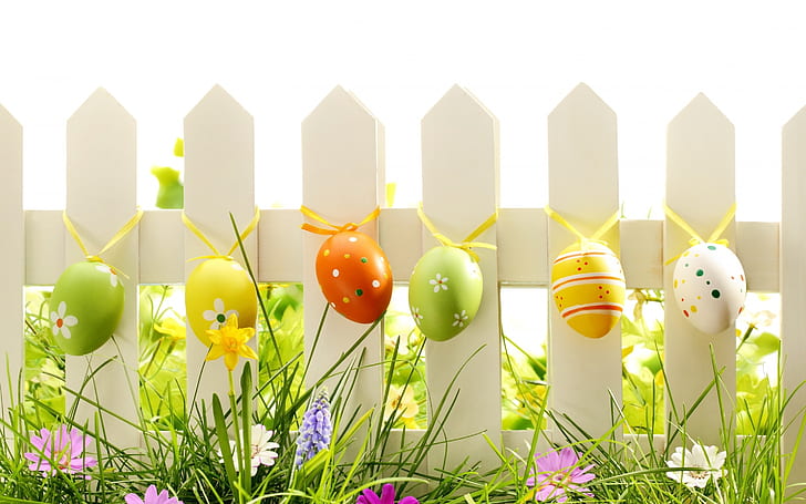 Belle décoration d'oeufs de Pâques, oeufs de Pâques, Fond d'écran HD