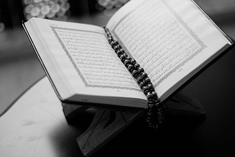 книга, наблизо, вяра, свят, ислям, Коран, макро, мюсюлманин, Коран, четене, религиозен, HD тапет HD wallpaper