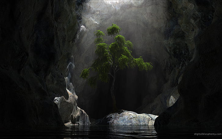 Árvore caverna luz solar HD, natureza, luz solar, árvore, caverna, HD papel de parede