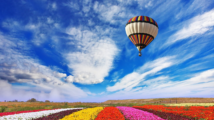 hot air ballooning, hot air balloon, field, landscape, flower farm, flower field, air balloon, balloon, HD wallpaper
