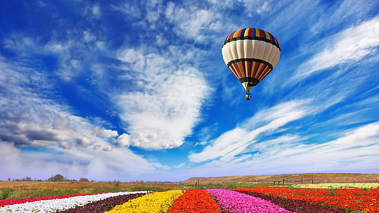 hot air ballooning, hot air balloon, field, landscape, flower farm, flower field, air balloon, balloon, HD wallpaper HD wallpaper