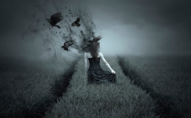 edited photo of woman with crows on hair, field, girl, crows, Dark side, HD wallpaper