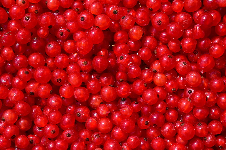 about, background, berry, currants, everywhere, food, fruit, garden, garden currant, quantitative, red, red currant, ripe, shiny, sour, summer fruit, traeuble, HD wallpaper