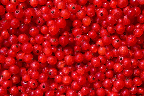 about, background, berry, currants, everywhere, food, fruit, garden, garden currant, quantitative, red, red currant, ripe, shiny, sour, summer fruit, traeuble, HD wallpaper HD wallpaper