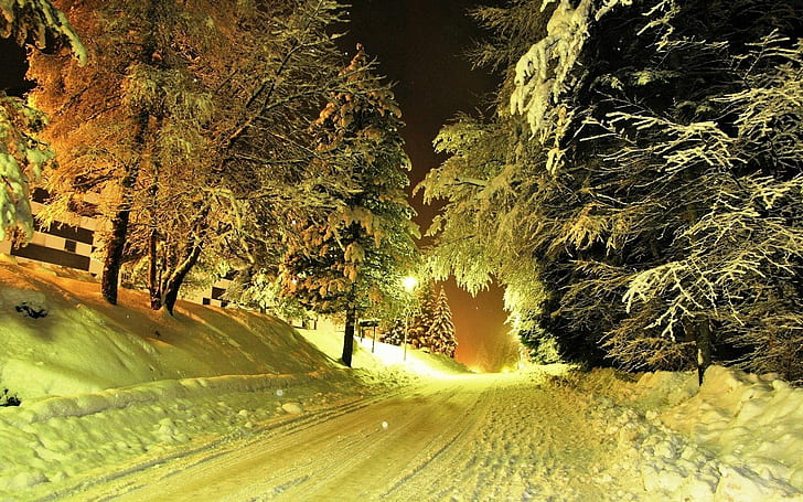 зима, природа, снег, ночь, деревья, дорога, огни, HD обои
