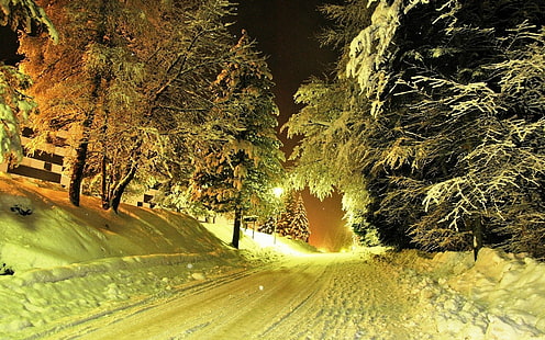 зима, природа, снег, ночь, деревья, дорога, огни, HD обои HD wallpaper