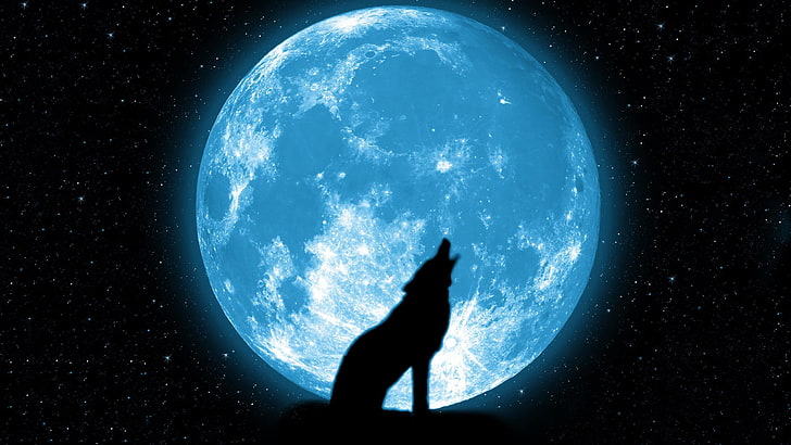 wycie wilka sylwetka z cyfrową ilustracją w tle niebieskiej planety, gwiazdy, księżyc, wilk, piękny, wycie, Tapety HD
