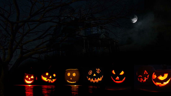 Halloween Jacks, zucca, jack-o-lantern, halloween, luna, infestata, 3d e astratto, Sfondo HD HD wallpaper
