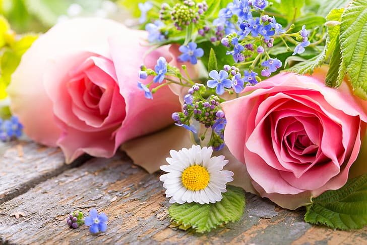 Rosen, Blütenblätter, Rosa, Blumen, romantisch, HD-Hintergrundbild