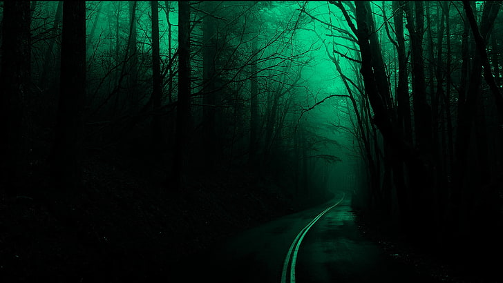 silhouette of forest, forest, trees, road, dark, nature, spooky, HD wallpaper