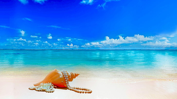 진주, 껍질, 해변, 푸른 하늘, 푸른 바다, 여름, HD 배경 화면