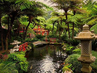зеленое лиственное дерево, япония, сад, пруд, HD обои HD wallpaper