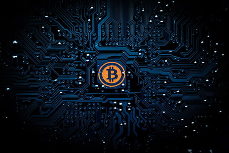 bitcoin, espèces, pièces de monnaie, ordinateur, numérique, internet, argent, techniques, technologie, Fond d'écran HD HD wallpaper