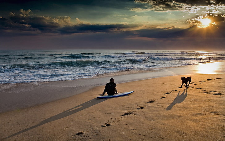 white surfboard, surfing, waves, beach, people, sky, dog, sunlight, horizon, HD wallpaper