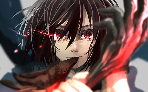 männliche Anime Charakter Tapete, Shingeki no Kyojin, Mikasa Ackerman, Handschuhe, HD-Hintergrundbild HD wallpaper