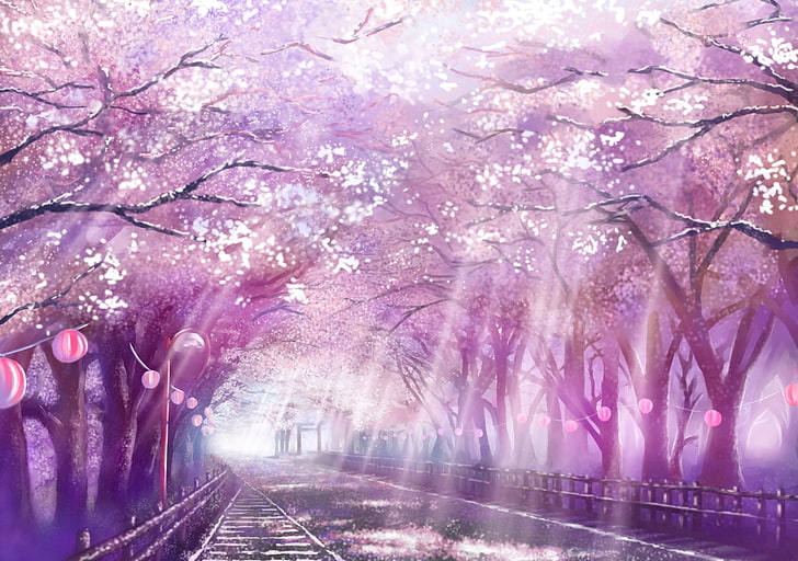 аниме пейзаж, живописный, цветение сакуры, вишня, тропинка, солнечный свет, аниме, HD обои