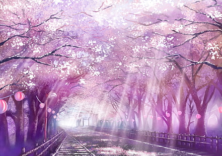 аниме пейзаж, живописен, цвят на сакура, череша, пътека, слънчева светлина, аниме, HD тапет HD wallpaper