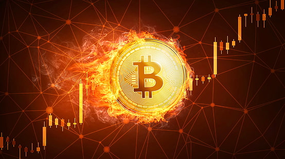 Teknologi, Bitcoin, Koin, Cryptocurrency, Uang, Wallpaper HD HD wallpaper