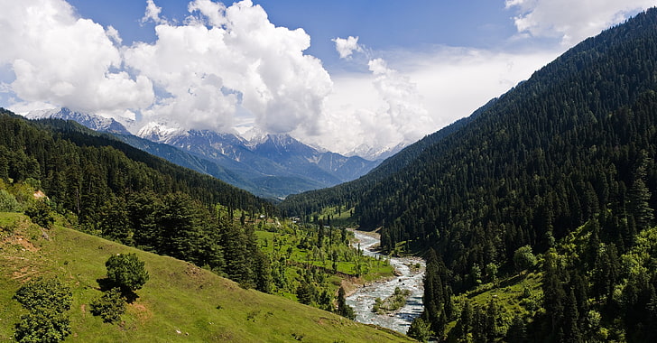 natura, paesaggio, valle, Kashmir, montagne, foresta, erba, verde, picco nevoso, nuvole, fiume, alberi, Sfondo HD