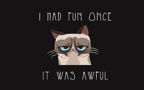 кафява илюстрация на котка, мрънкаща котка, котка, забавна, тъга, скръб, HD тапет HD wallpaper