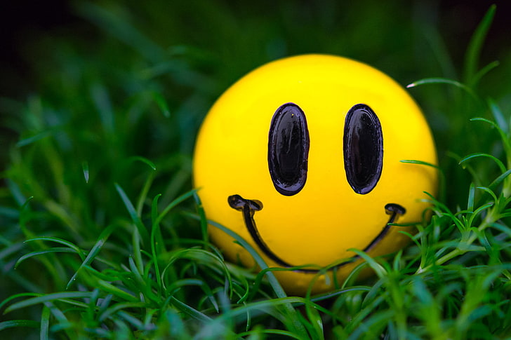 yellow emoji ball, grass, macro, smile, smiley, HD wallpaper
