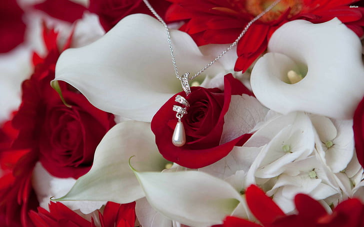 photography, 2880x1800, calla, Rose, necklace, on, Flowers, HD, wallpappers, HD wallpaper