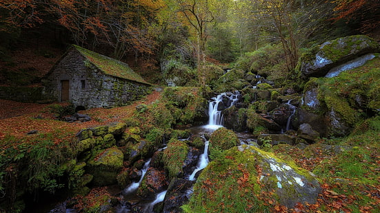 Wasserfall, Moos, Haus, Bach, Wald, HD-Hintergrundbild HD wallpaper