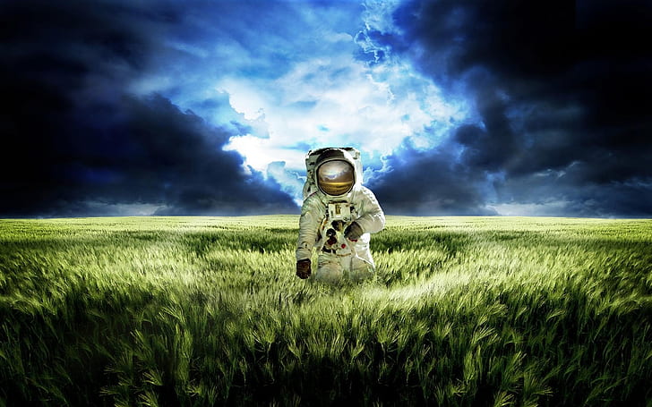 宇宙飛行士の広大な緑の草原、宇宙飛行士、広大な、緑、草原、 HDデスクトップの壁紙