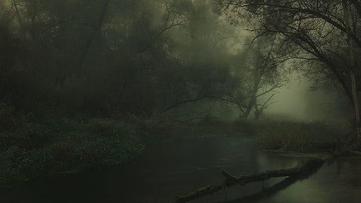 река, тъмно, мъгла, атмосфера, Германия, пейзаж, природа, храсти, дървета, гора, HD тапет