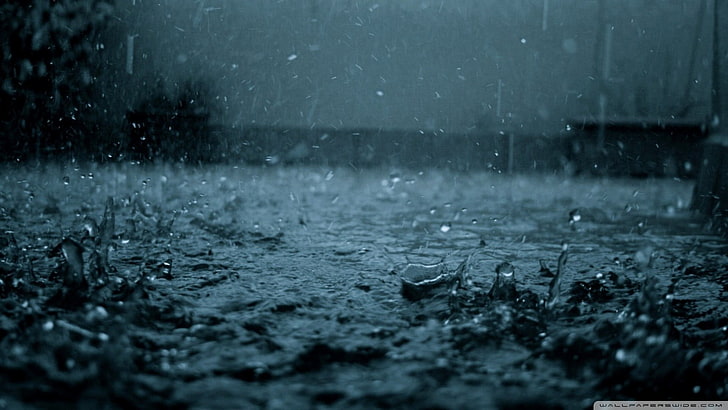 raindrops, rain, water drops, water, HD wallpaper