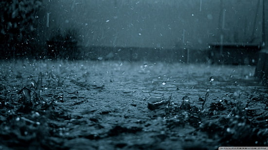 дъждовни капки, дъжд, капки вода, вода, HD тапет HD wallpaper