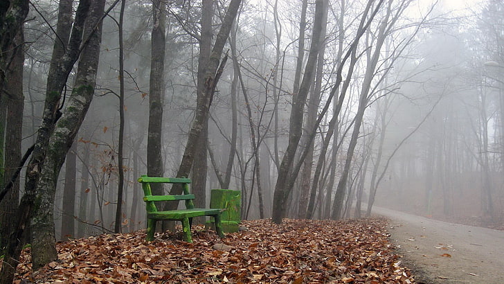 banc en bois vert, forêt, brouillard, arbres, chemin d'accès, feuilles, banc, route, automne, Fond d'écran HD