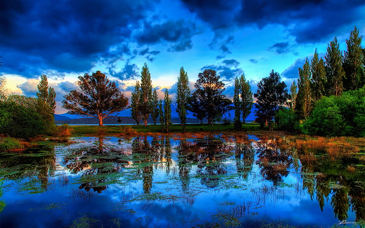 Swamp with dry grass, trees reflecting water-sky with dark clouds, Fiordland, New Zealand-widescreen free download, HD wallpaper