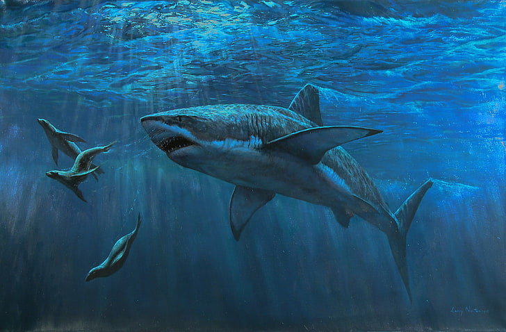 shark, sea, animals, underwater, Larry Norton, HD wallpaper