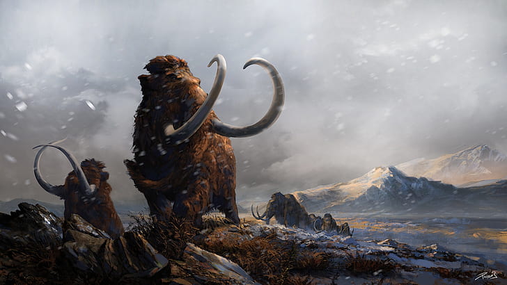 Animal, Mammoth, Landscape, Nature, HD wallpaper