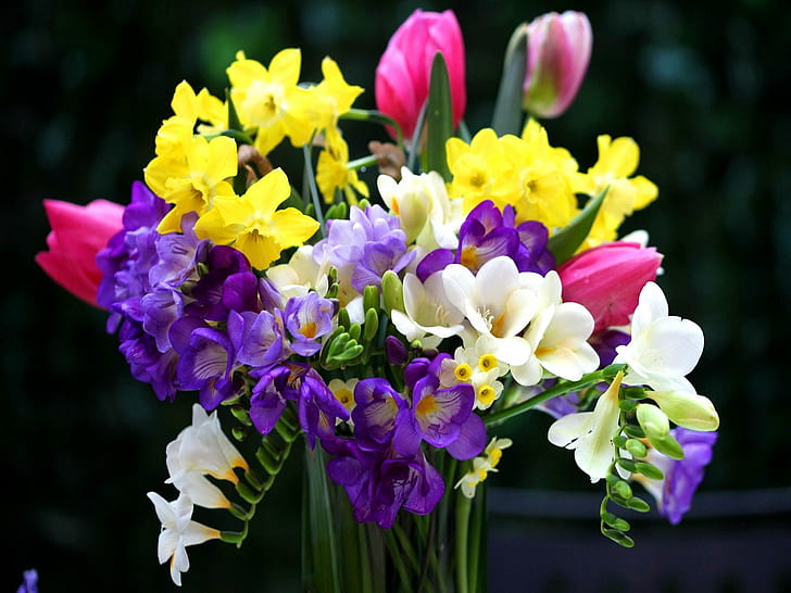 Bouquet di fiori freschi, delizioso, vaso, bello, bello, tulipani, colori, fiori, bouquet, colorato, fresco, natura morta, carino, Sfondo HD